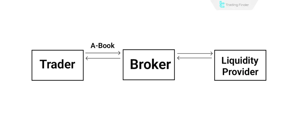 learn how to effectively read and understand broker terms to make informed financial decisions and navigate investment agreements with confidence.