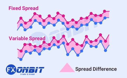 learn the fundamentals of spreads and pips in trading with our clear explanation, helping you understand market price differences and how they impact your trades.