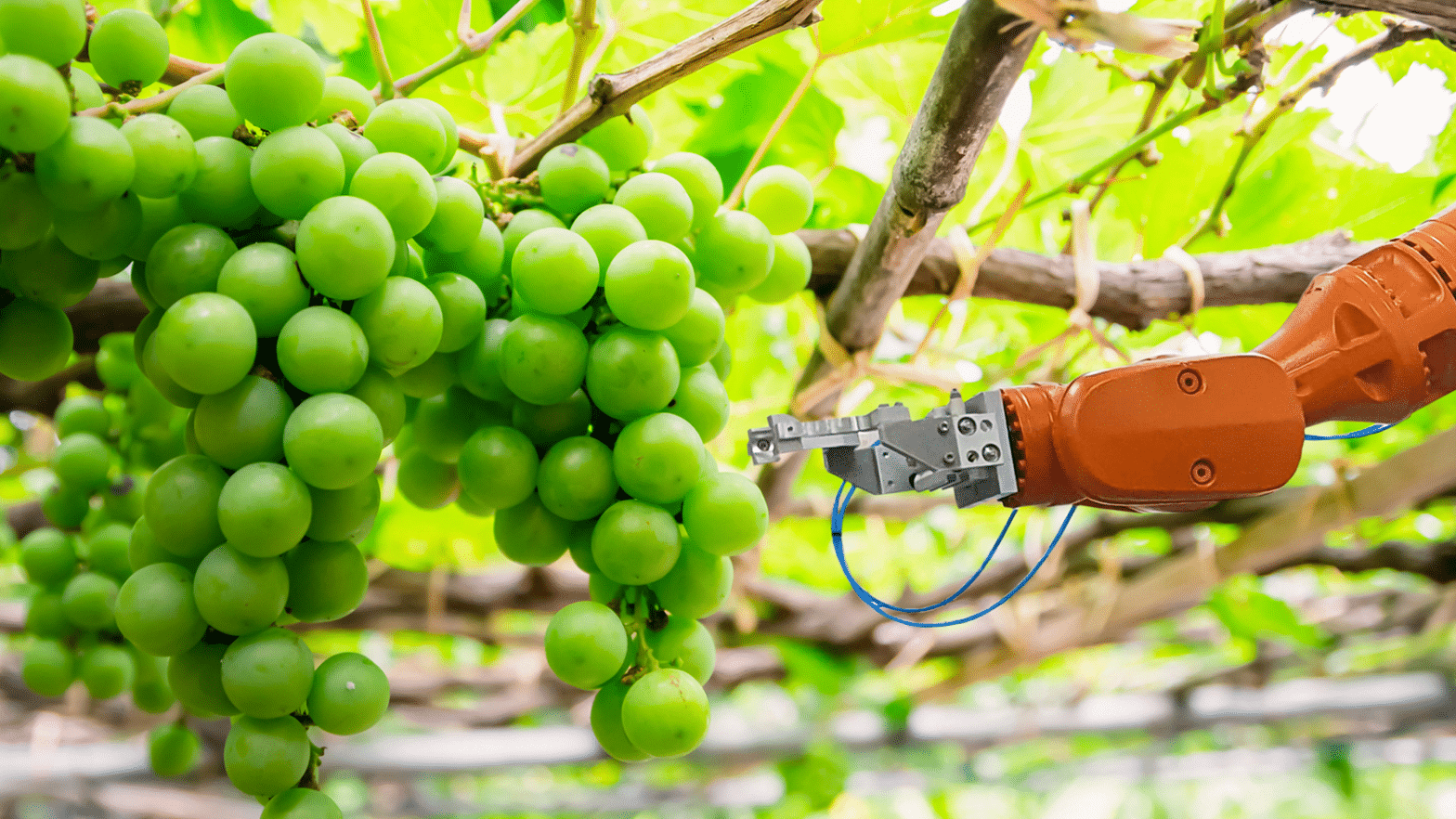 discover how ai is revolutionizing the wine trade by enhancing production, distribution, and customer experience in the industry.