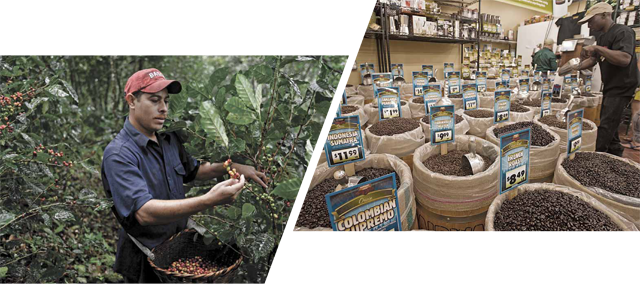 explore the importance of transparency in the tea industry through fair trade practices, ensuring ethical sourcing and sustainability for producers and consumers.